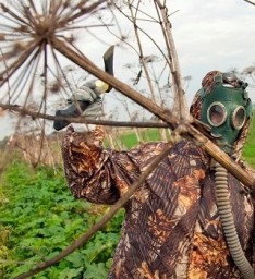 Мособлдума установила ответственность для юрлиц и граждан за невыполнение мероприятий по борьбе с бо