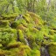 Каскад