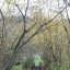 Осень в Родниках
